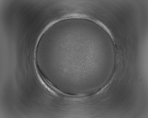 X0000084001381200702232126