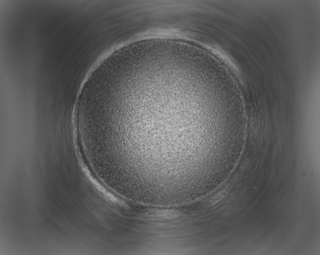 X0000084001382200702232126