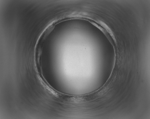 X0000084001384200702232126