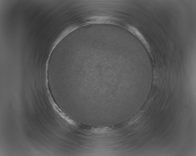 X0000084001386200702232126