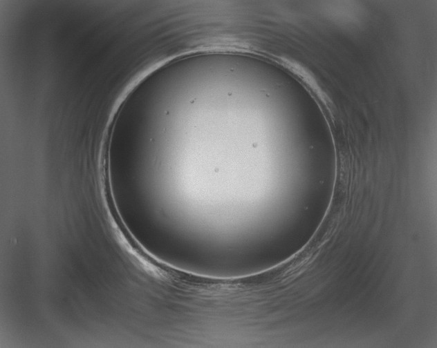 X0000084001387200702232126
