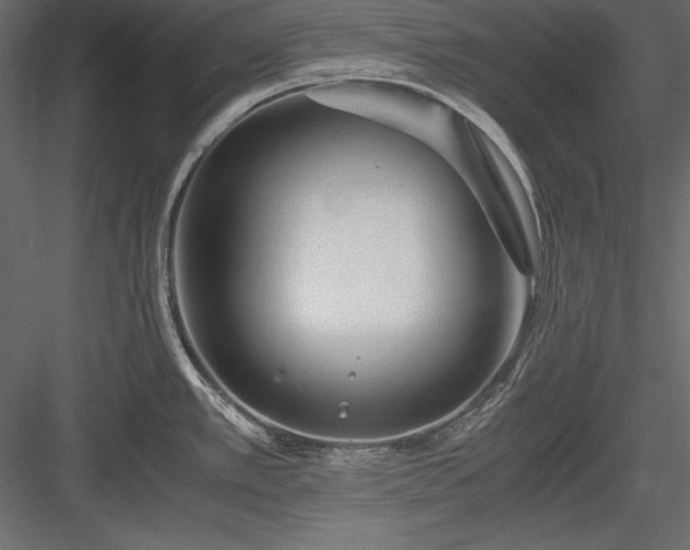 X0000084001389200702232126