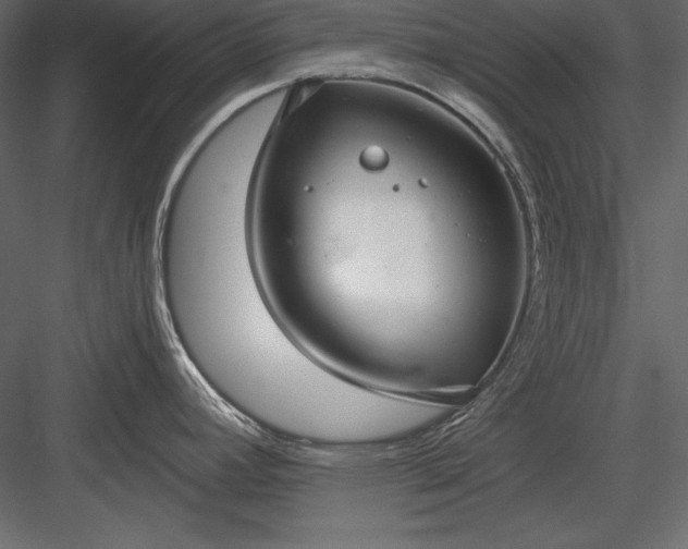 X0000084001392200702232126