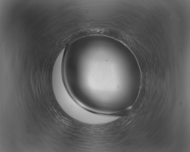X0000084001394200702232125