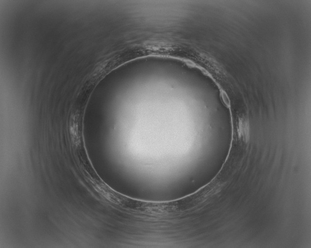 X0000084001396200702232125