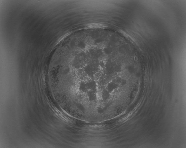X0000084001401200702232125