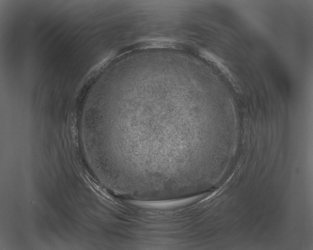 X0000084001403200702232125