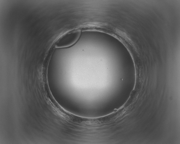 X0000084001404200702232125