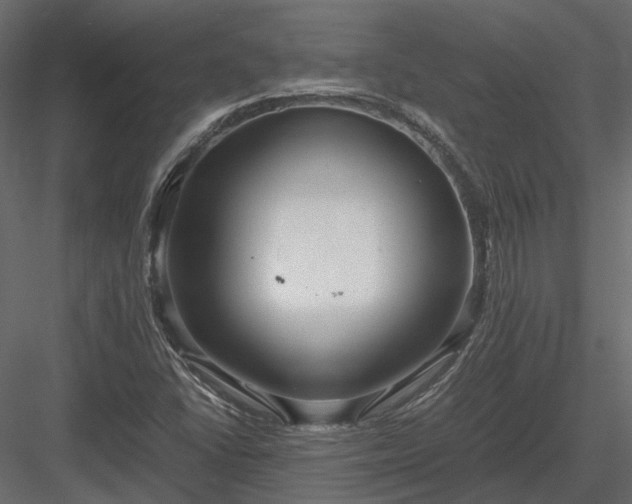 X0000084001406200702232125