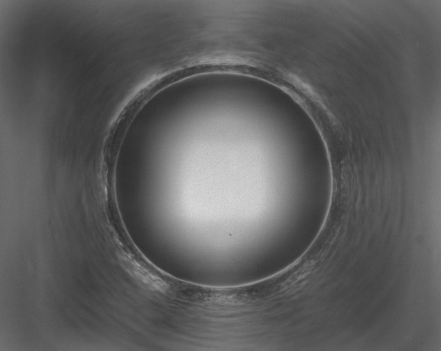 X0000084001408200702232125