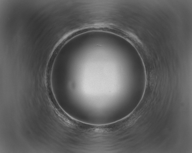 X0000084001412200702232125