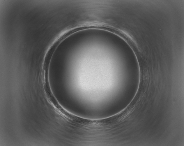 X0000084001414200702232125