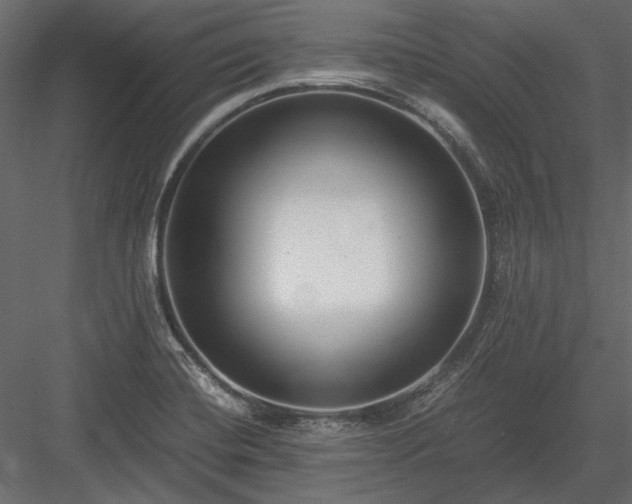 X0000084001420200702232126