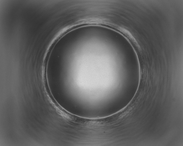 X0000084001424200702232126