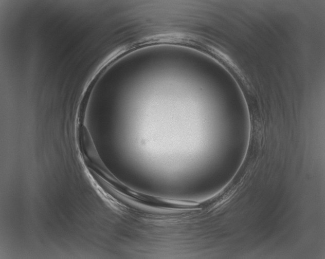X0000084001426200702232126