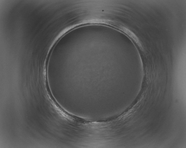 X0000084001428200702232126