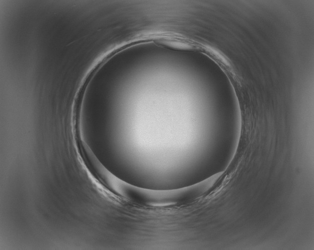 X0000084001430200702232126