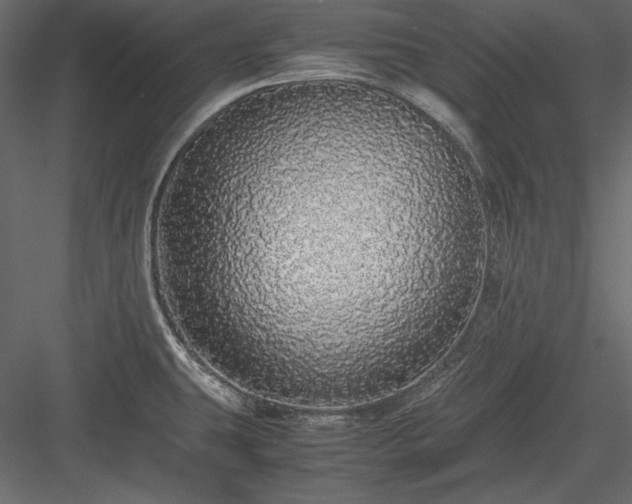X0000084001431200702232126