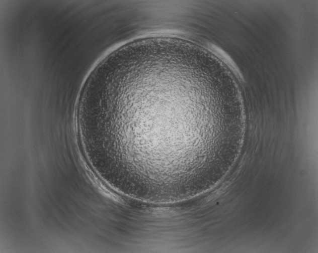 X0000084001436200702232126
