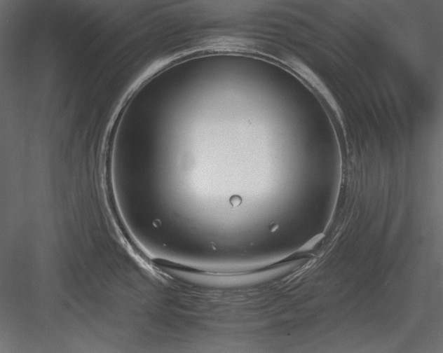 X0000084001437200702232126