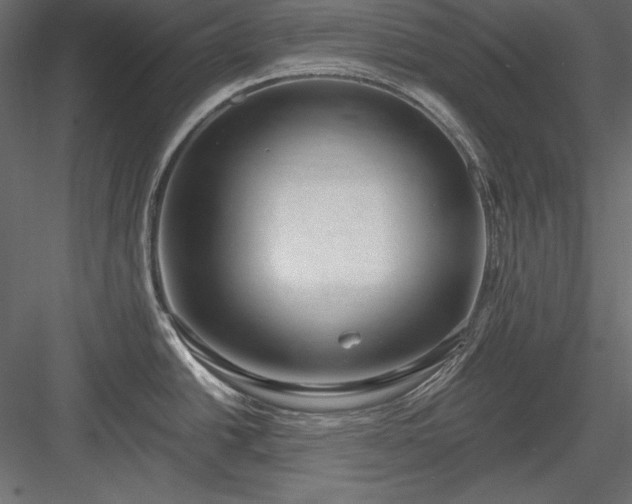 X0000084001438200702232126