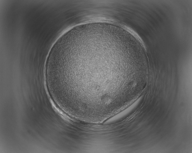 X0000084001439200702232126