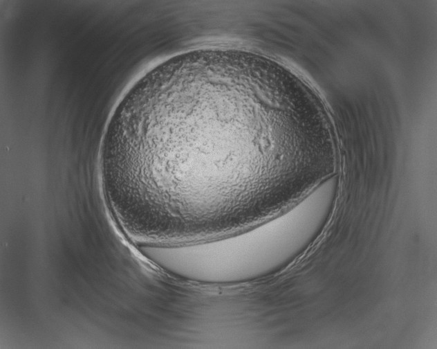 X0000084001440200702232126