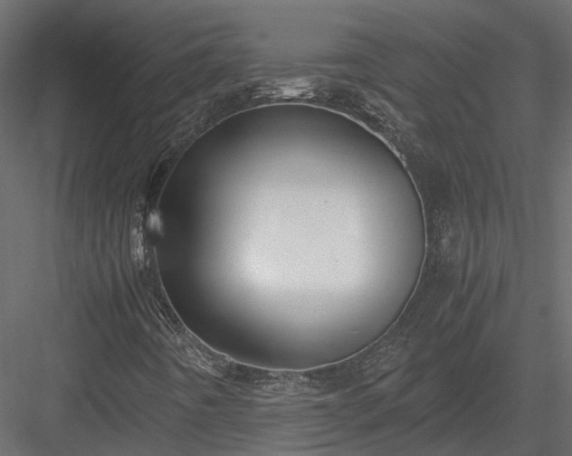 X0000084001442200702232125