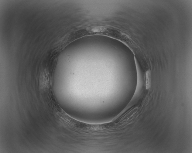 X0000084001443200702232125