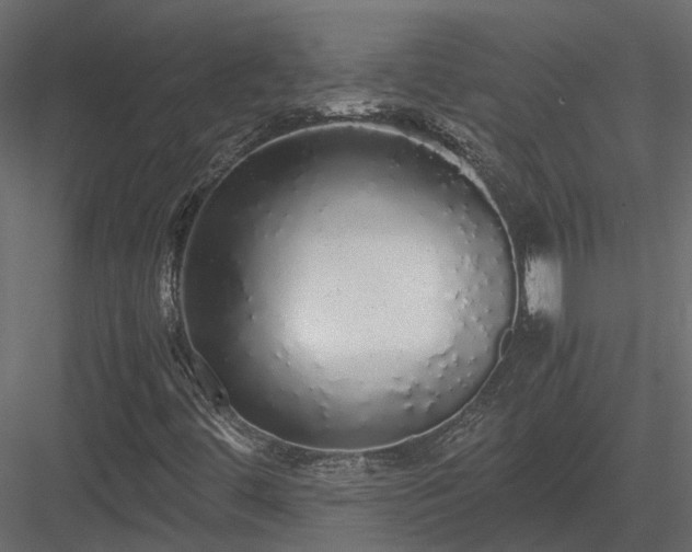 X0000084001444200702232125