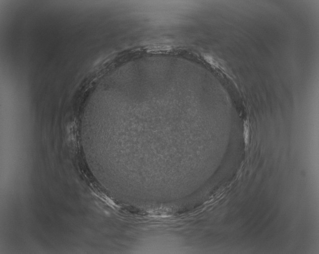 X0000084001445200702232125