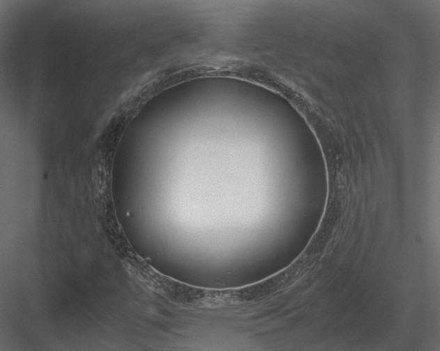 X0000084001447200702232125
