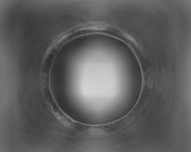 X0000084001448200702232125