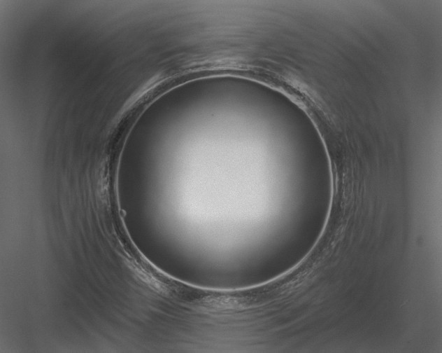 X0000084001450200702232125