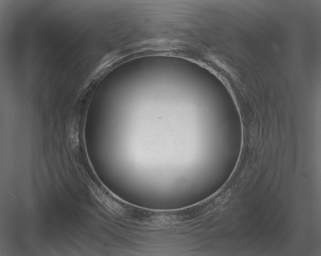 X0000084001451200702232125