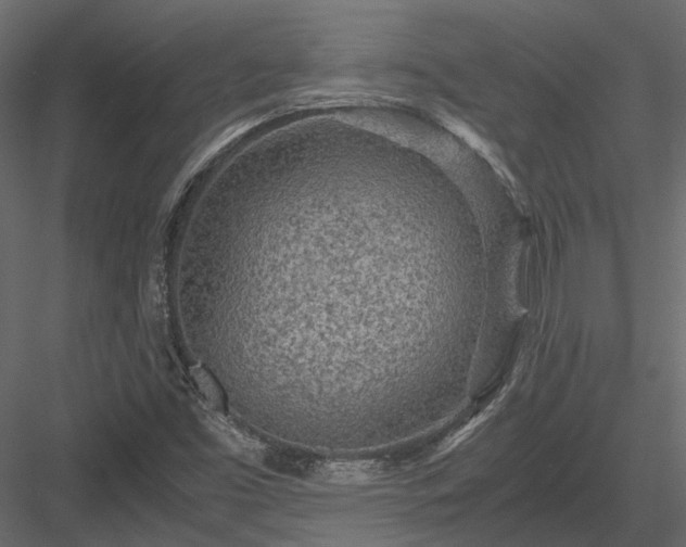 X0000084001453200702232125
