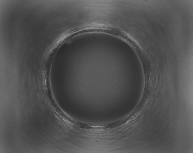 X0000084001455200702232125