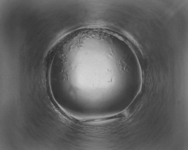X0000084001456200702232125