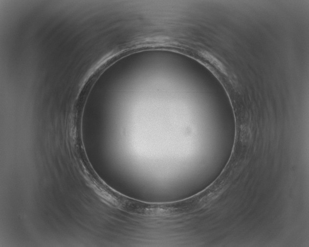 X0000084001458200702232125