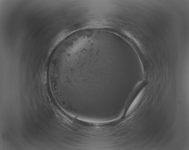 X0000084001459200702232125