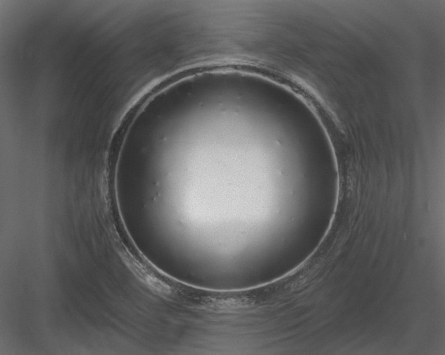 X0000084001460200702232125
