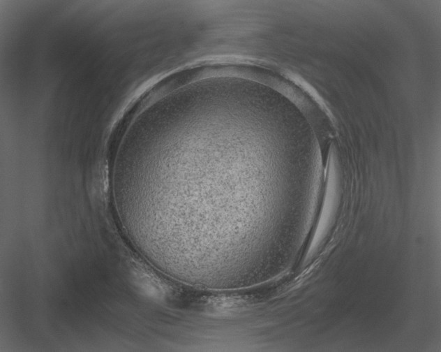 X0000084001461200702232125