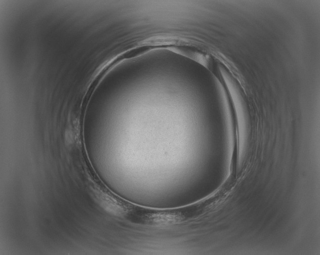 X0000084001465200702232125