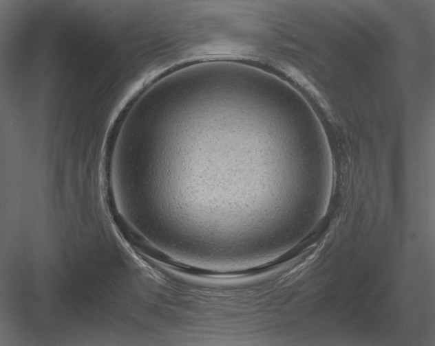 X0000084001469200702232125