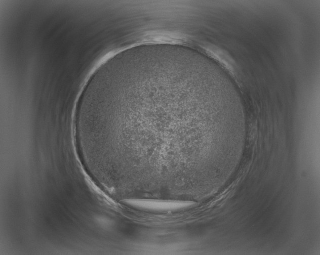 X0000084001471200702232125