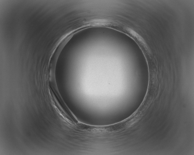 X0000084001473200702232124