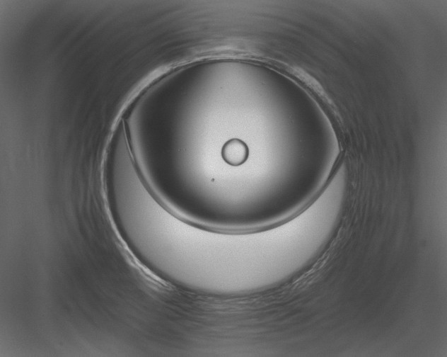 X0000084001474200702232124