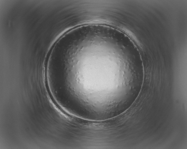 X0000084001476200702232124