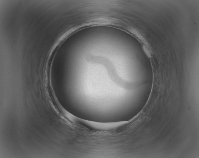 X0000084001477200702232124