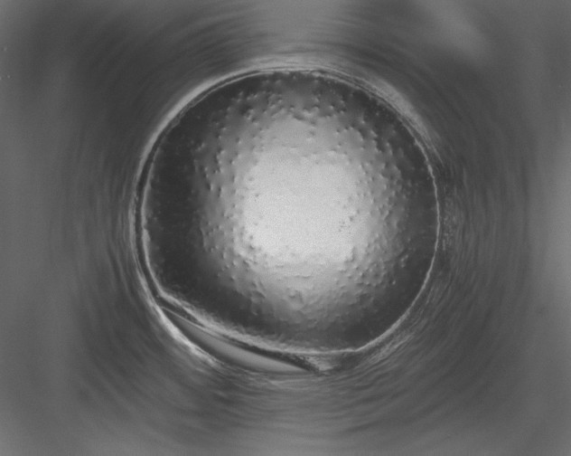 X0000084001484200702232124